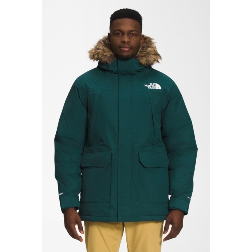 Rei Coop The North Face Mcmurdo Down Parka Herren Grün