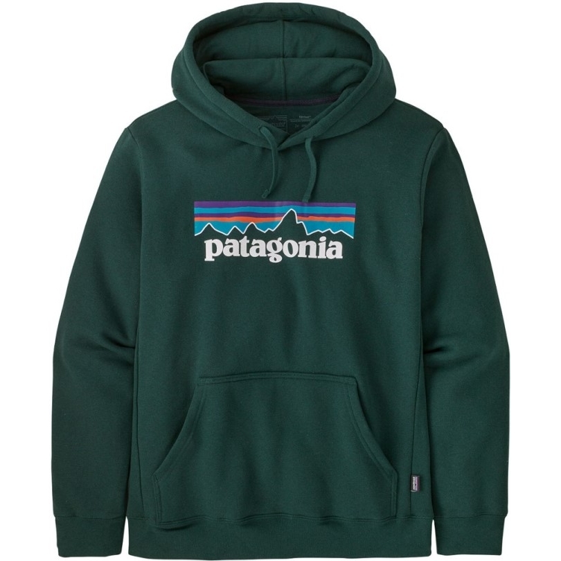 Rei Co-op Patagonia P-6 Logo Uprisal Hoodie Grün