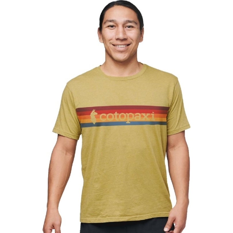 Cotopaxi On The Horizon T-shirt Herren Rei Coop Hopfen