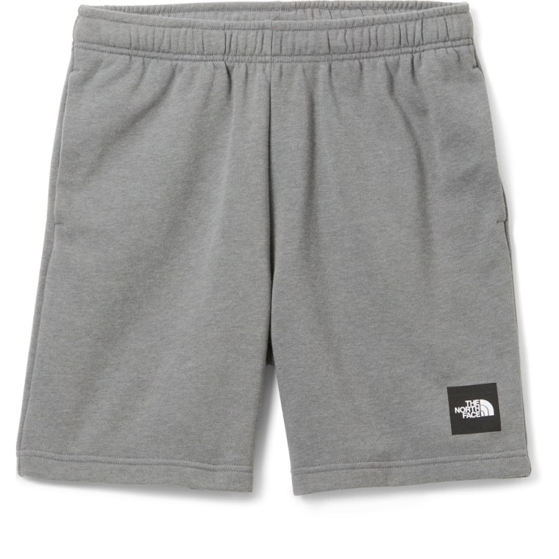 Grau The North Face Never Stop Shorts Herren Rei Coop