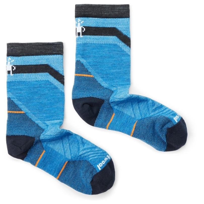 Rei Co-op Blue Smartwool Performance Run Zero Cushion Mid Crew Mustersocken Herren