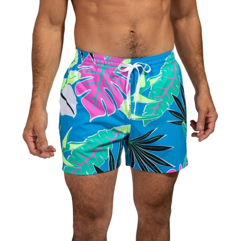Große Schwimmer
