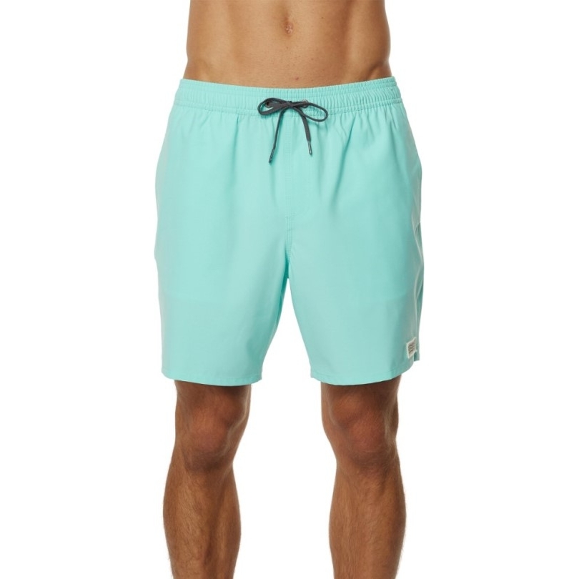 O'neill Solid Volley 17 Boardshorts Herren Rei Coop Türkis 2