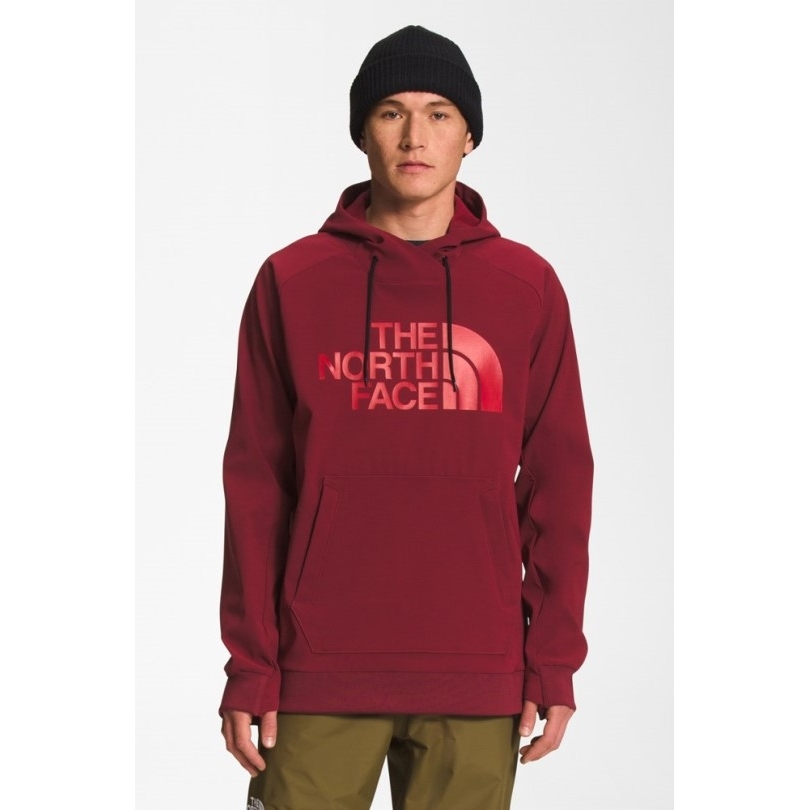 Rei Coop Red The North Face Tekno Logo Hoodie Herren