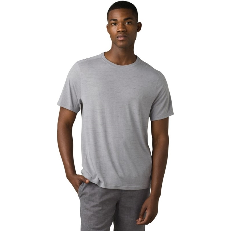 Rei Coop Graues Prana Prospect Heights T-shirt Herren