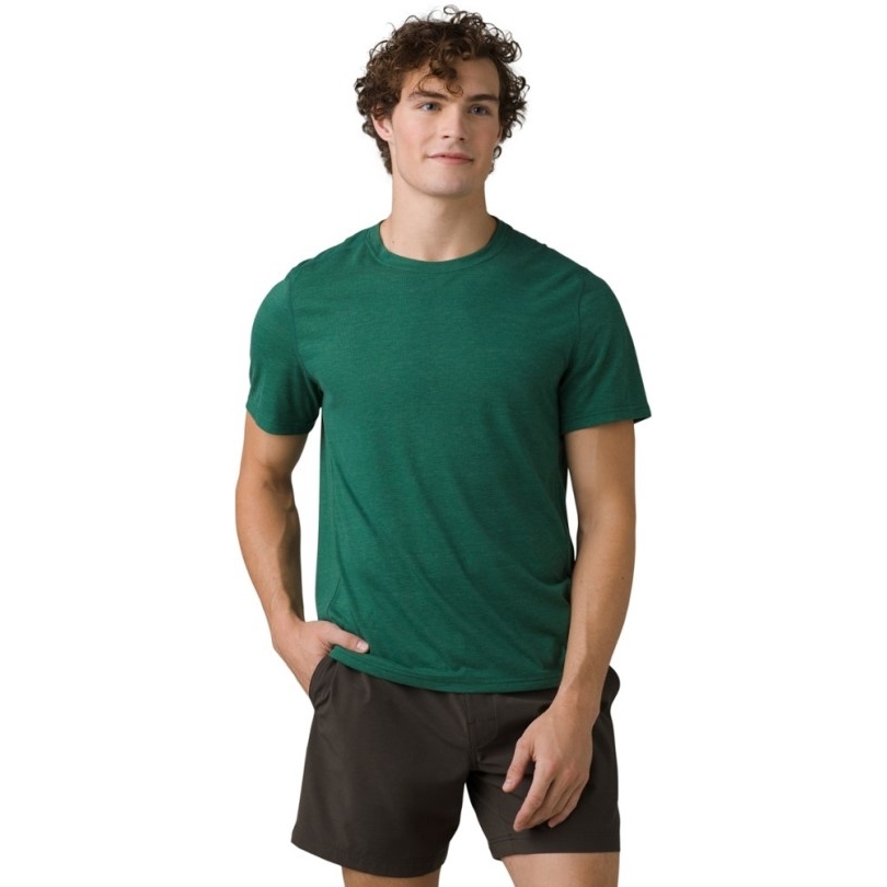Pine Rei Co-op Prana Prospect Heights Crew T-Shirt Herren