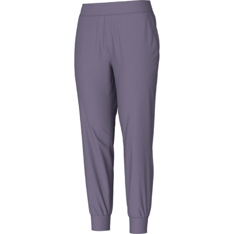 Lunar Slate The North Face Aphrodite Jogginghose Damen Rei Coop
