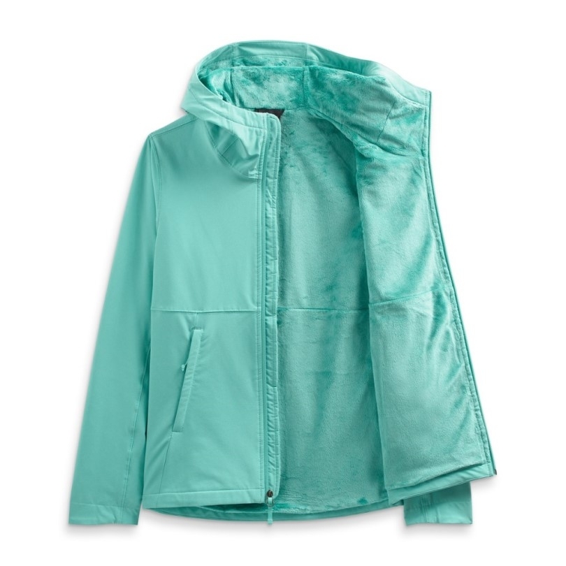 Wasabi The North Face Shelbe Raschel Hoodie Damen Rei Coop