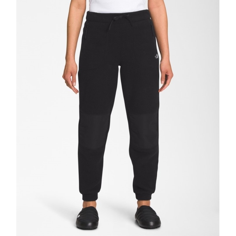 Rei Coop The North Face Alpine Polartec 200 Hose Damen Schwarz