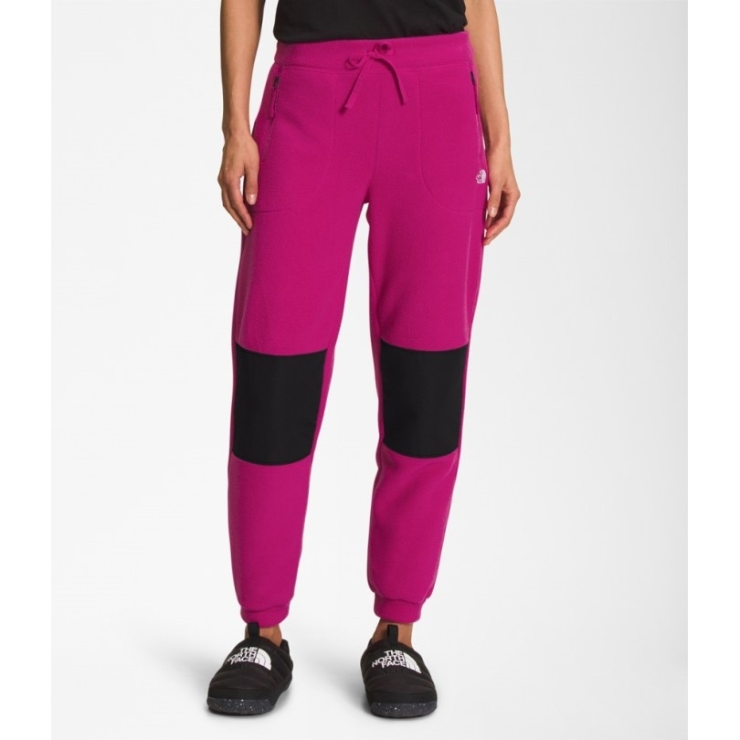 Schwarz Rei Coop The North Face Alpine Polartec 200 Hose Damen