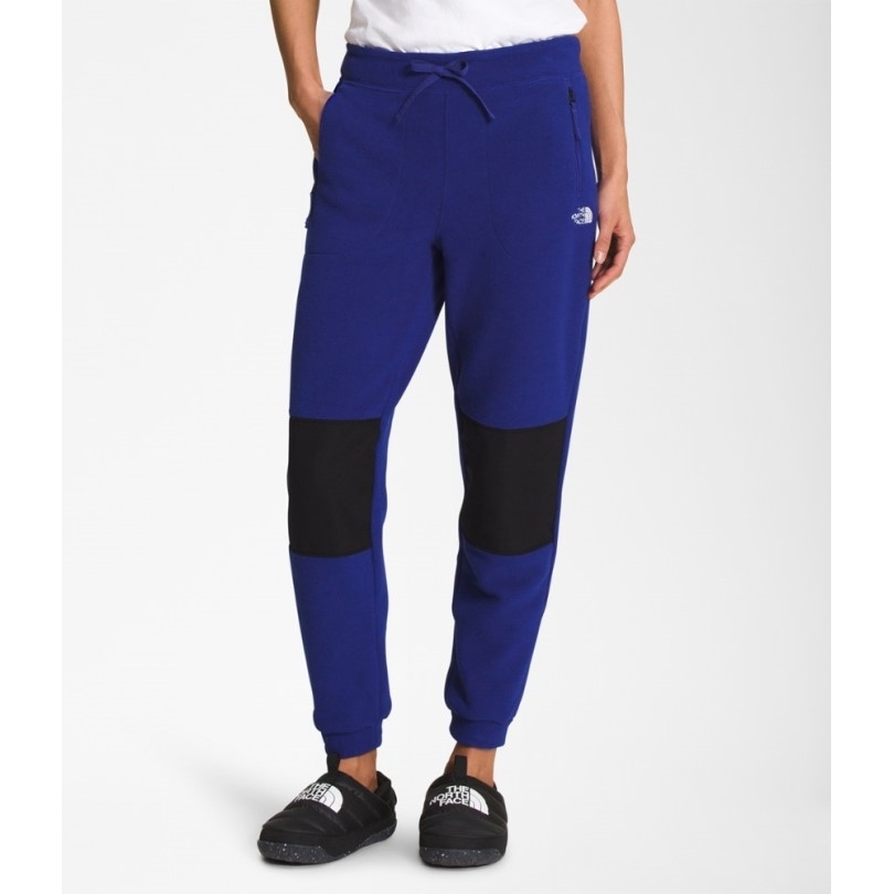 Schwarz The North Face Alpine Polartec 200 Hose Damen Rei Coop