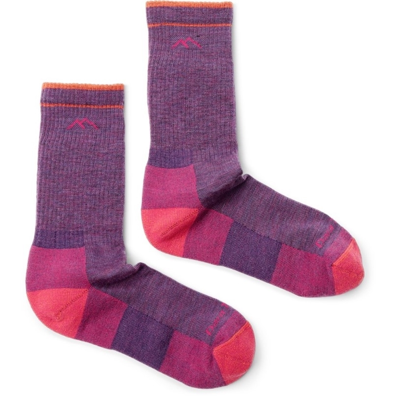 Darn Tough Hiker Boot Sock Cushion Socken Damen Rei Co-op Pflaume