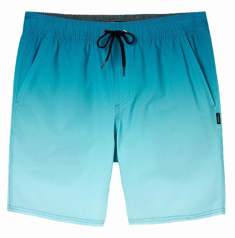 O'neill Stockton Print E-taille Hybrid Shorts Kid Blue Rei Coop